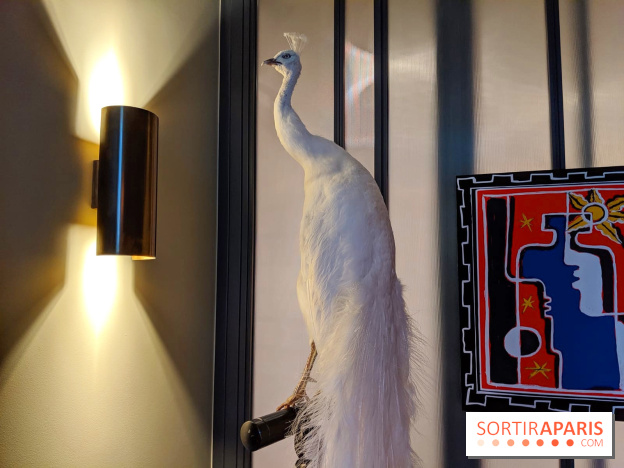 Vincent Darré x Cointreau