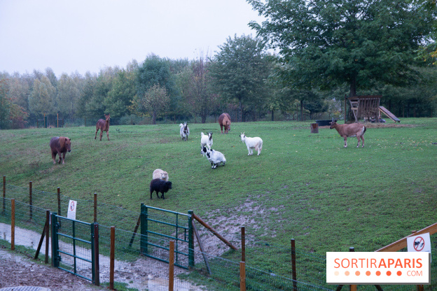 Campanile Val de France : nos photos