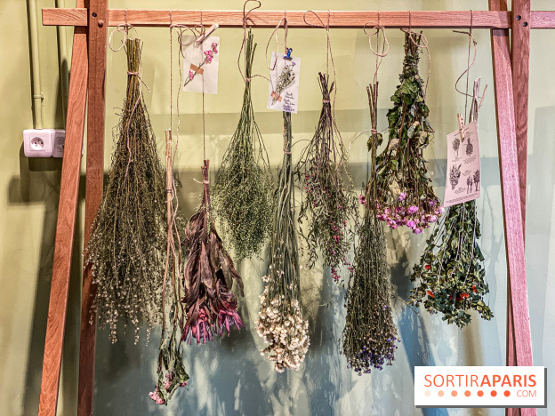 Bergamotte Kinfolk, la nouvelle collection de fleurs séchées naturellement