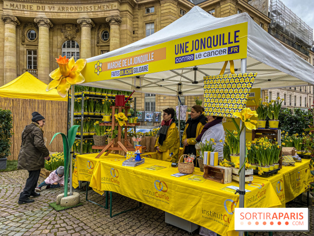 Une Jonquille pour Curie au Panthéon