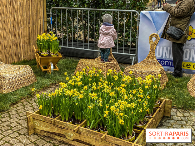 Une Jonquille pour Curie au Panthéon