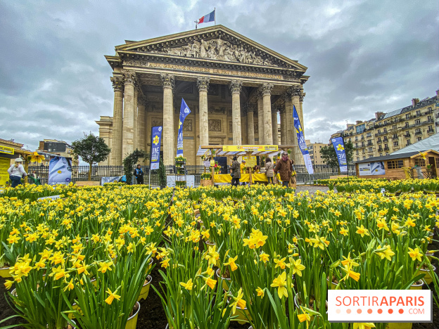 Une Jonquille pour Curie au Panthéon