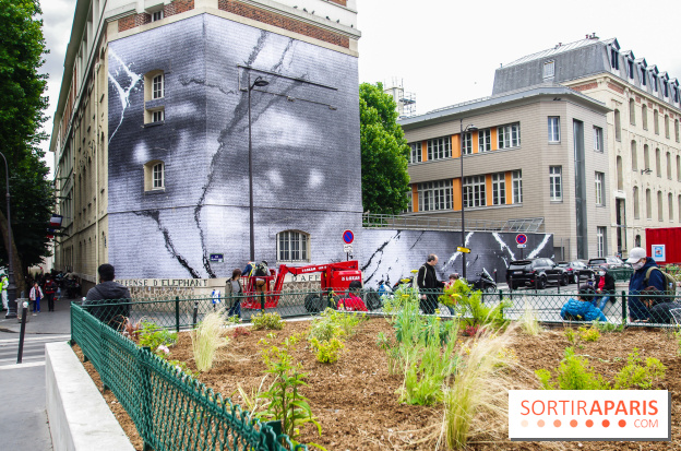 Hommage à Adama Traoré : l'artiste JR dévoile un collage géant à Paris, les photos