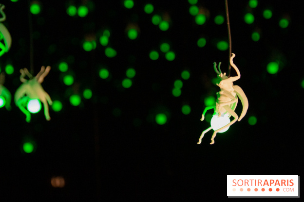 Araignées, Lucioles et Papillons au Musée en Herbe : nos photos