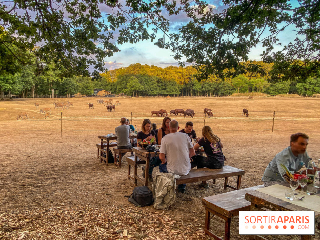 Photos du Dîner Safari du Zoo de Thoiry