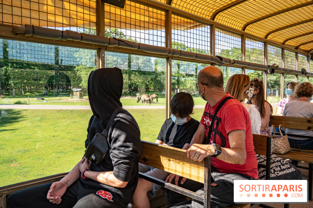 Photos du Dîner Safari du Zoo de Thoiry