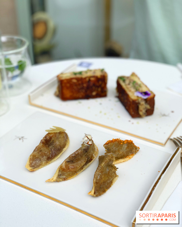 Maison Gazelle - été 2020