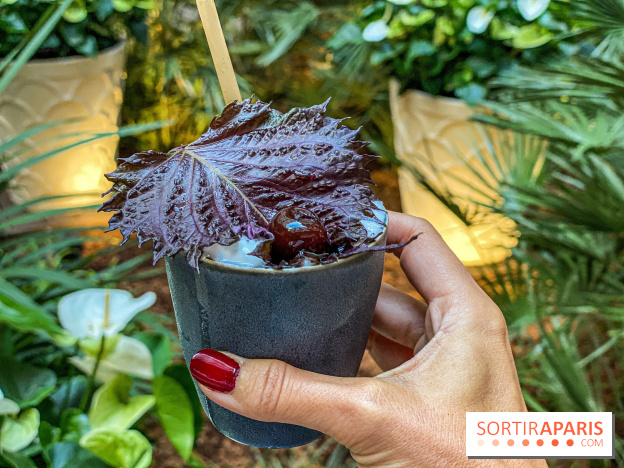 Photos bar 19.20 au Prince de Galles