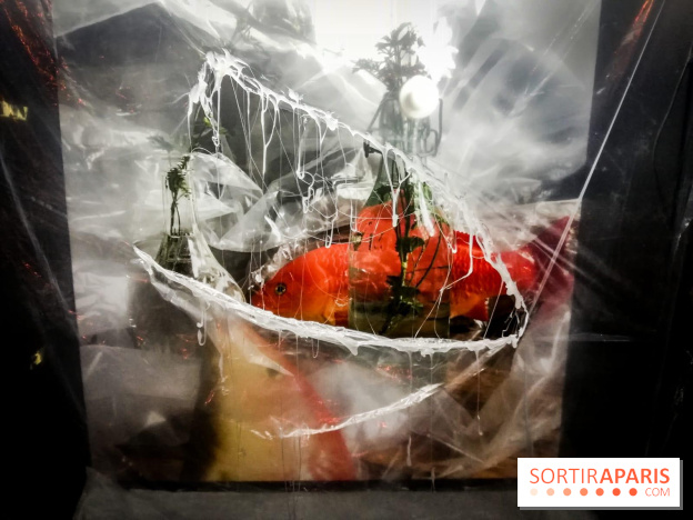 Mythologies du poisson rouge, l'exposition de l'Appart Renoma, nos photos