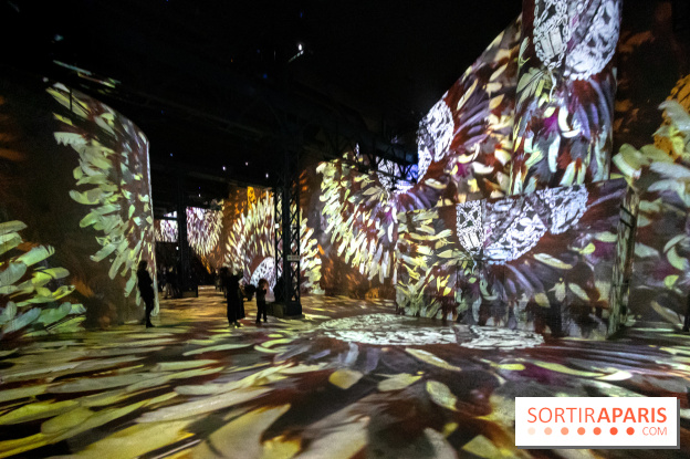 Photos : Exposition immersive Jimmy Nelson : The last sentinels à l’Atelier des Lumières