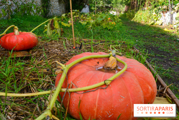 Le Domaine de la Corniche