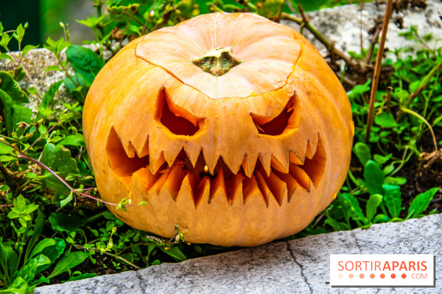 Halloween 2020 : comment creuser sa citrouille ? Le tuto