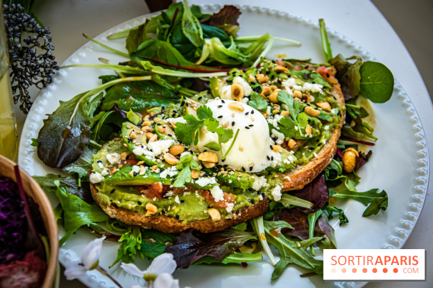 Fuumi nouvelle carte