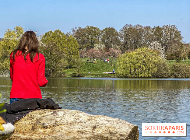Les cerisiers et arbres en fleurs de l’Arboretum de Chevreloup
