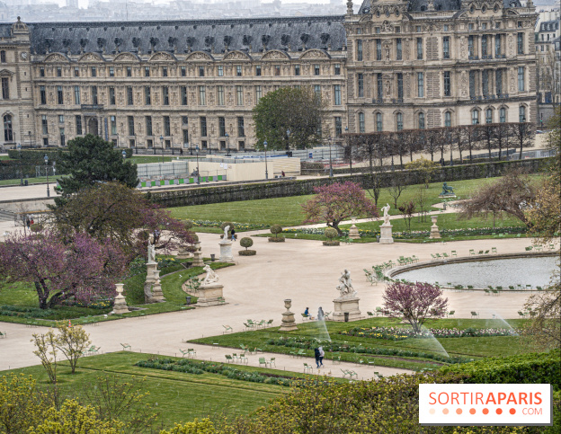 Cerisiers en fleurs à paris et aux alentours - Jardins des Tuileries