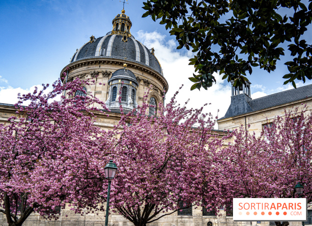 Visuel Paris Cerisiers en fleurs à paris et aux alentours - Square Gabriel Pierné