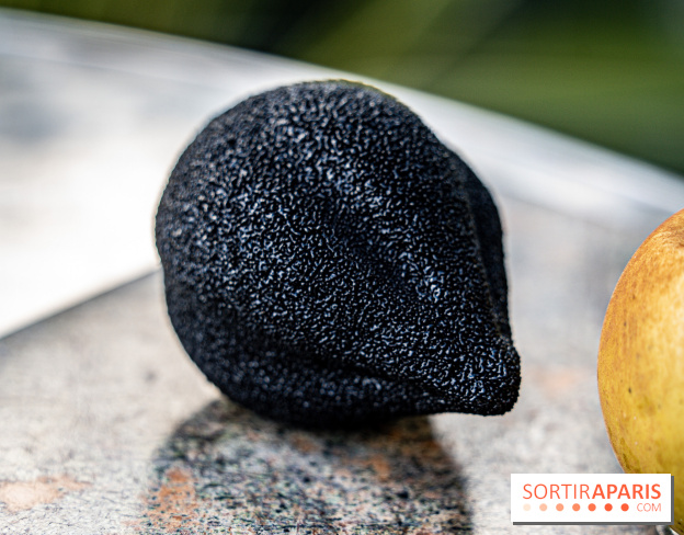 Le Meurice à la Maison