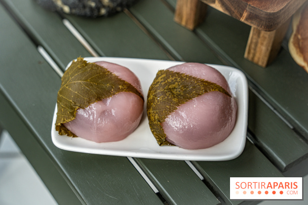 Photos : Mochi Mochi Aki