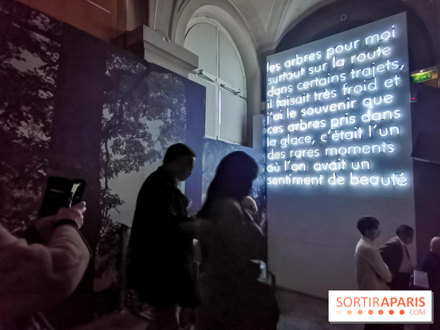 Nous vous aimons, Madame : l'expo hommage à Simone Veil à l'Hôtel de Ville de Paris - nos photos