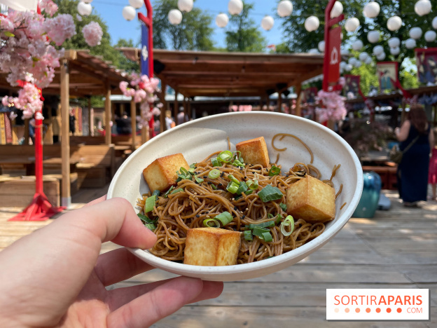 Hanami Paris, Ła terrasse éphémère du Trocadéro - IMG 4492