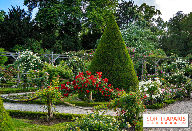 Le Parc de Bagatelle - A7C00138