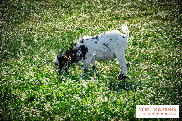 Parrot World, le parc animalier immersif d'Île-de-France