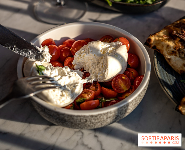 Les Piaules Nation, le rooftop