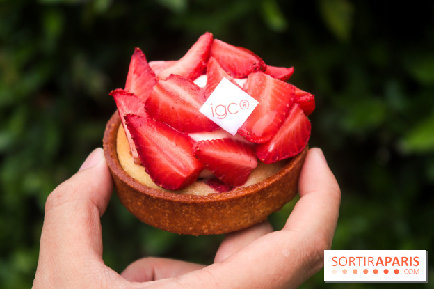 Les glaces des belles envies