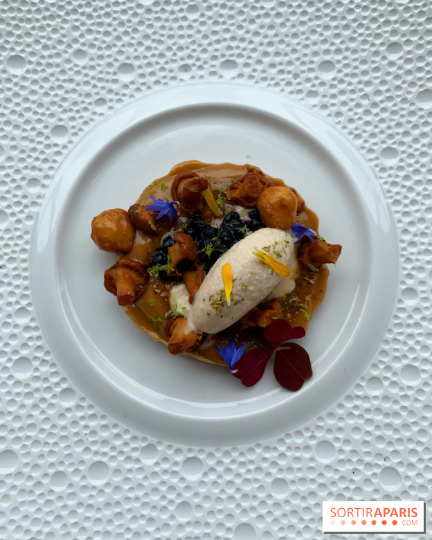 Oiseau Blanc Peninsula