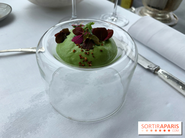 Oiseau Blanc Peninsula