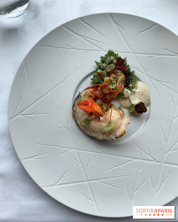 Oiseau Blanc Peninsula