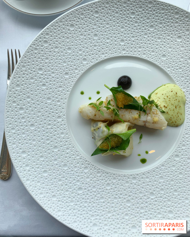 Oiseau Blanc Peninsula