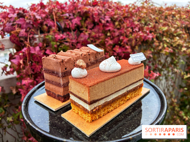 Bûches de Noël végétales 2024 de Land&Monkeys : trois délices vegan à partager