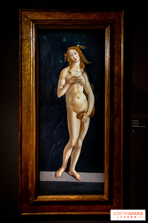 Botticelli, Artiste & Designer, l'exposition au Musée Jacquemart-André - nos photos