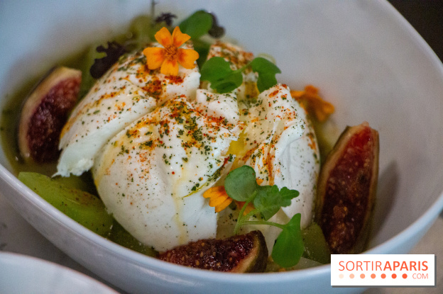 Sapid, la table à manger Naturaliste d'Alan Ducasse : nos photos
