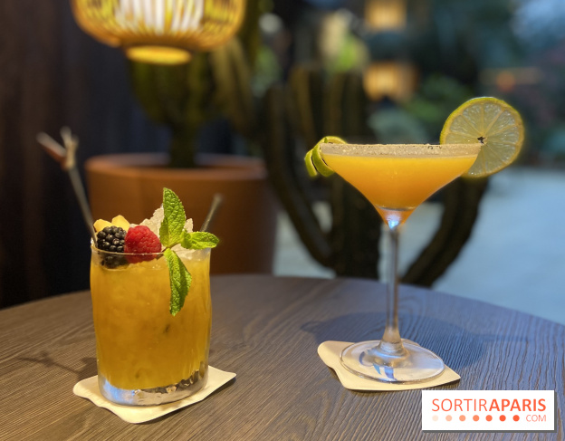 Oceania et sa terrasse en mode jardin méditerranéen à Paris