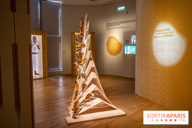 Exposition Aux frontières de l'humain au Musée de l'Homme