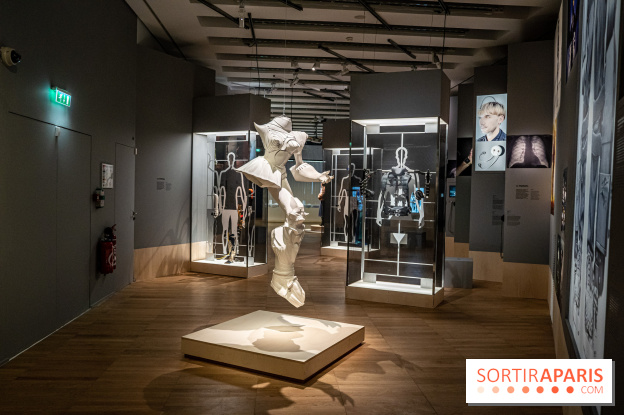 Exposition Aux frontières de l'humain au Musée de l'Homme