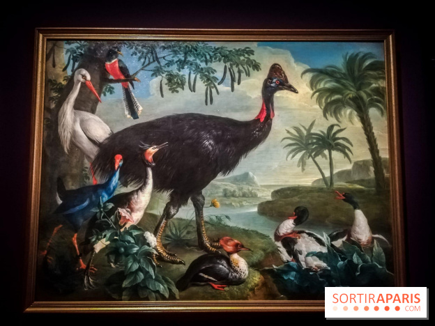 Les animaux du Roi, une exposition qui a du chien au Château de Versailles - nos photos