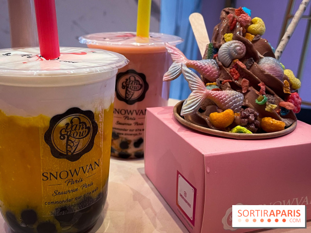 Snowvan, le spot aux bubble tea et glaces insolites