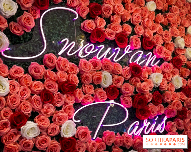 Snowvan, le spot aux bubble tea et glaces insolites