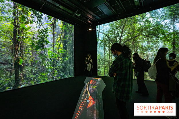 Photos : Odyssée sensorielle, l’expo immersive au Museum 