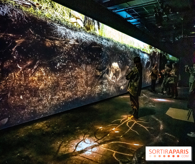 Photos : Odyssée sensorielle, l’expo immersive au Museum 