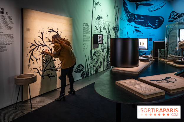 Photos : Odyssée sensorielle, l’expo immersive au Museum 