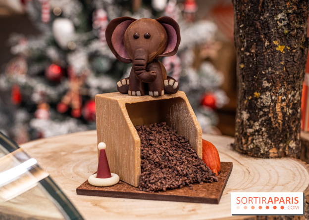 La Bûche de Noël de la Reine Astrid au mucilage