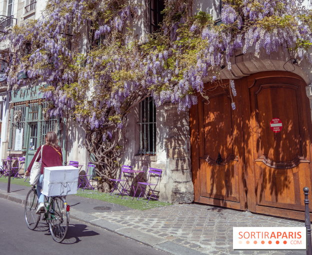 Les cafés fleuris de Paris