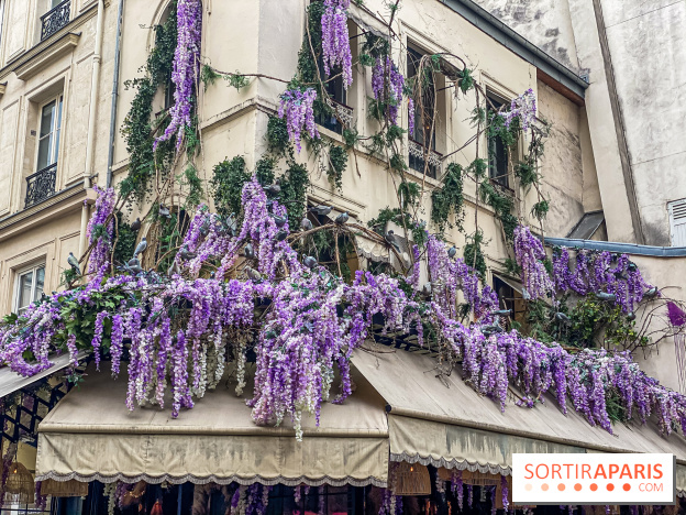 Les cafés fleuris de Paris