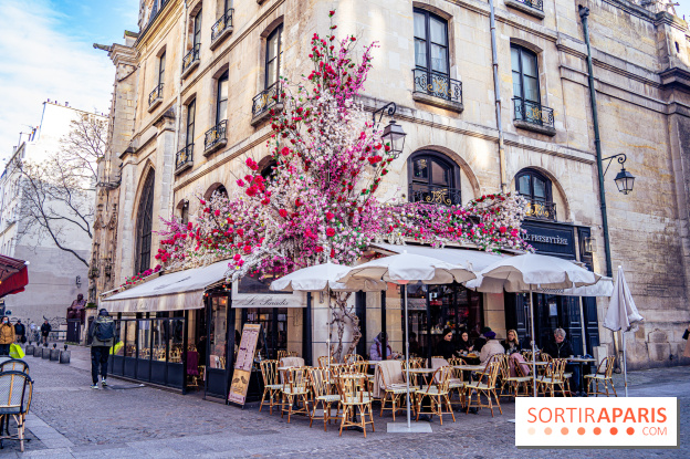 Les cafés fleuris de Paris