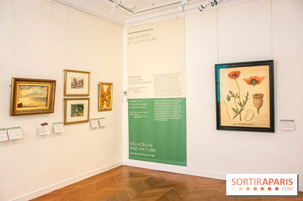 Delacroix et la nature, nos photos de l'exposition au musée Delacroix