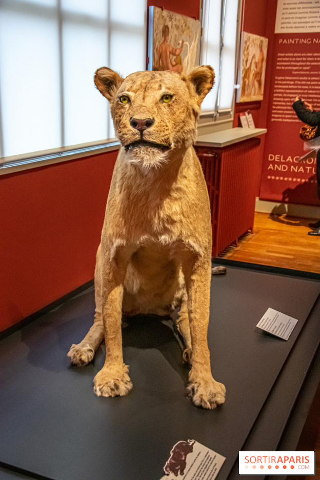 Delacroix et la nature, nos photos de l'exposition au musée Delacroix